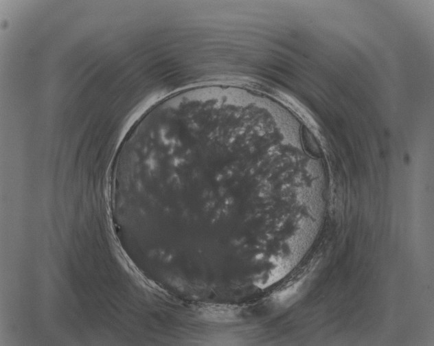 X0000084580907200703091833