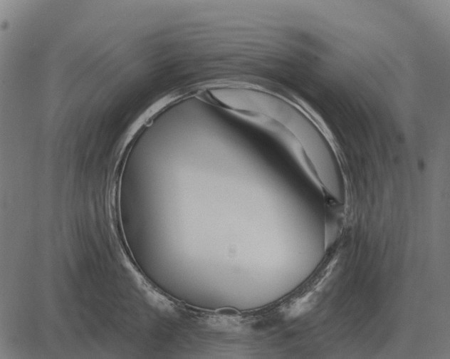 X0000084580909200703091833