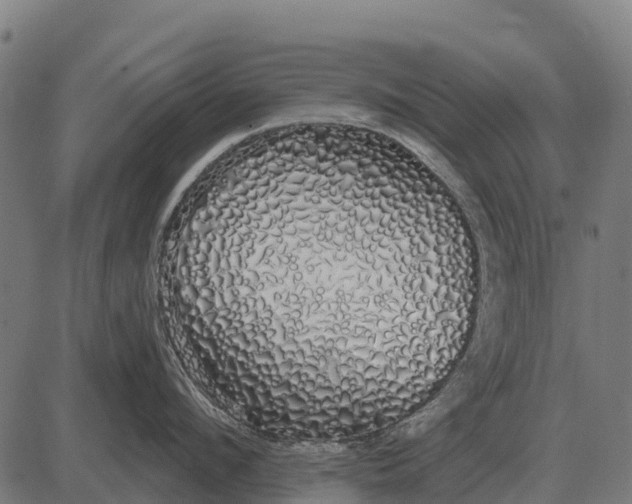 X0000084580912200703091833