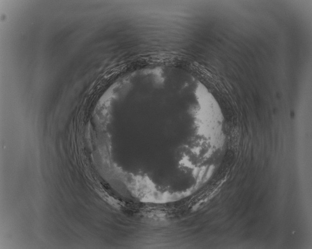 X0000084580913200703091833