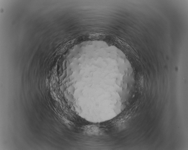 X0000084580914200703091833