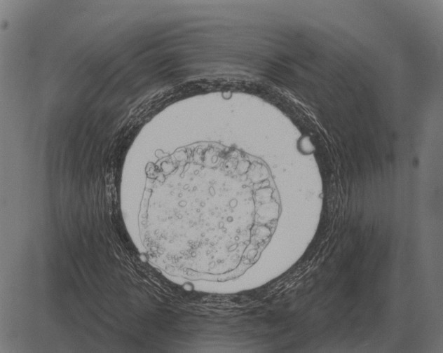 X0000084580918200703091833
