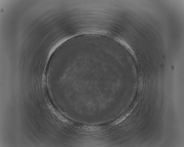 X0000084580928200703091833