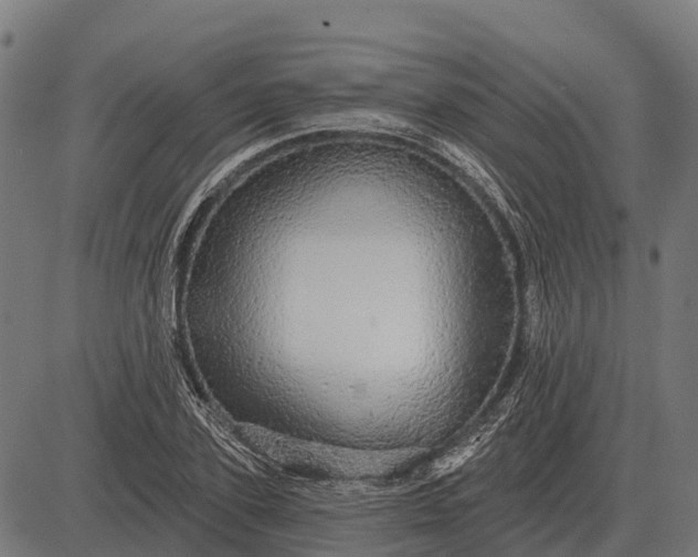 X0000084580931200703091833