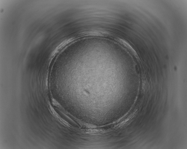 X0000084580938200703091833