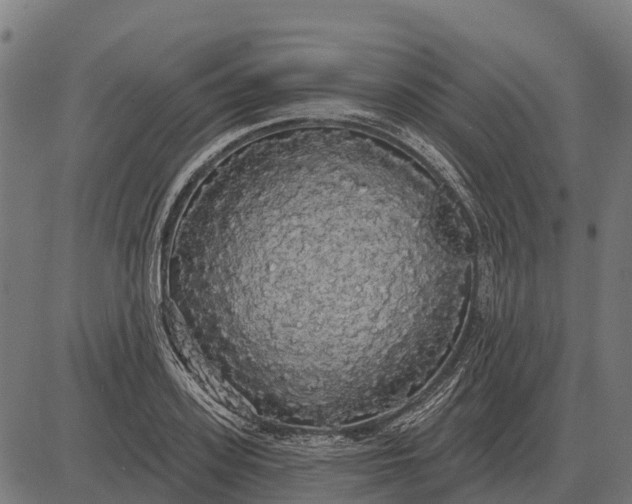 X0000084580939200703091833