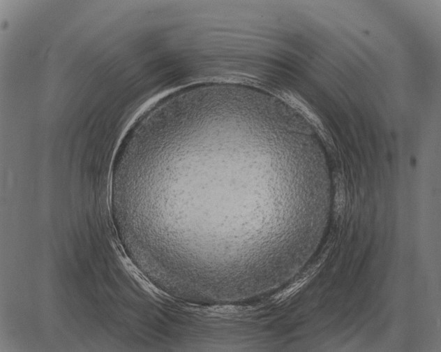 X0000084580940200703091833