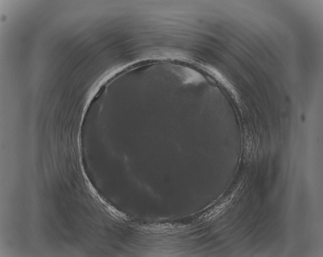X0000084580943200703091833
