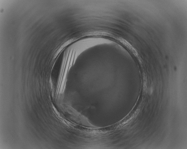 X0000084580945200703091833
