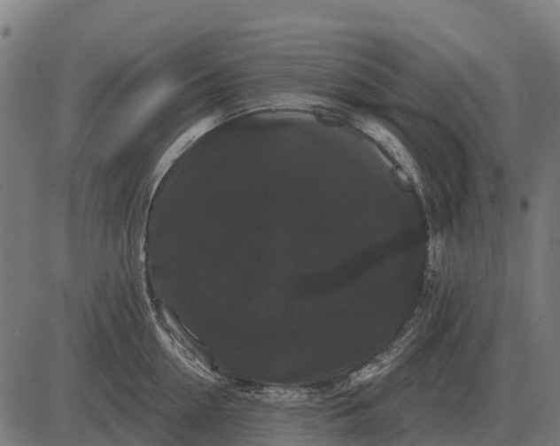X0000084580954200703091833