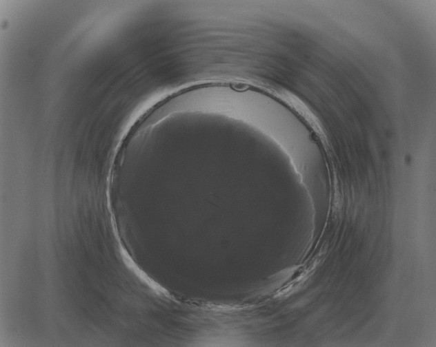 X0000084580958200703091833