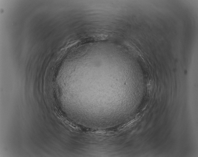 X0000084580961200703091833