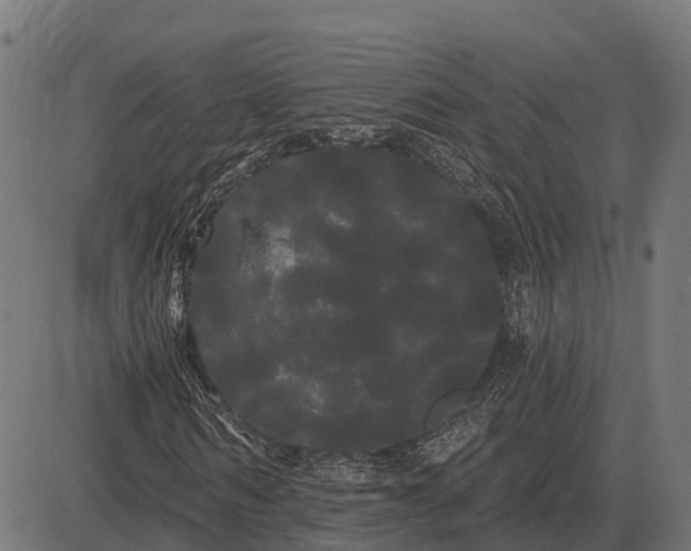 X0000084580962200703091833