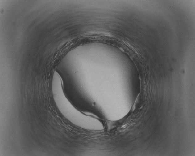 X0000084580965200703091832