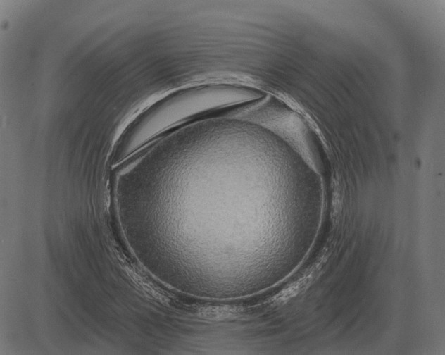 X0000084580973200703091832