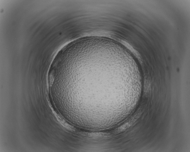 X0000084580988200703091832