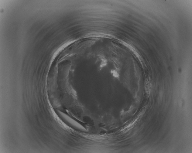 X0000084580995200703091832