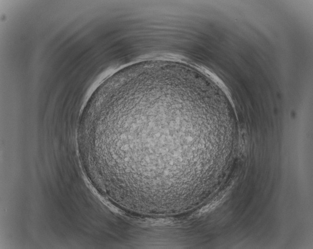 X0000084580997200703091832