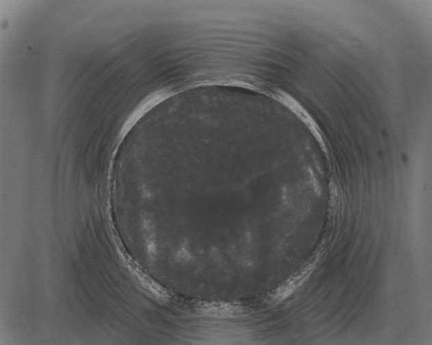 X0000084581002200703091832