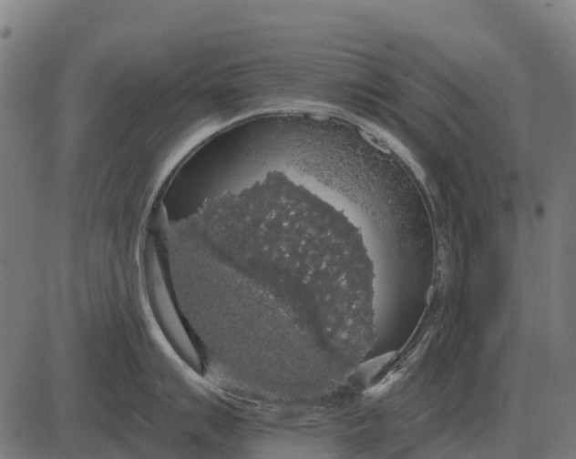 X0000084581007200703091832