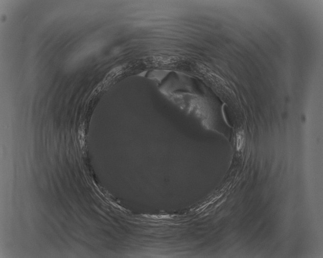 X0000084581011200703091831