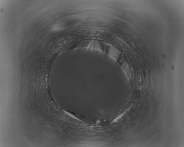 X0000084581013200703091831
