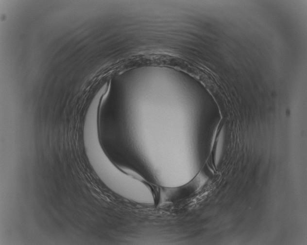 X0000084581014200703091831