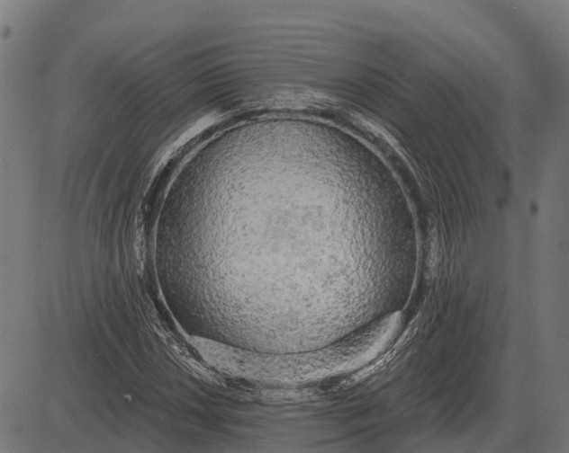 X0000084581018200703091831