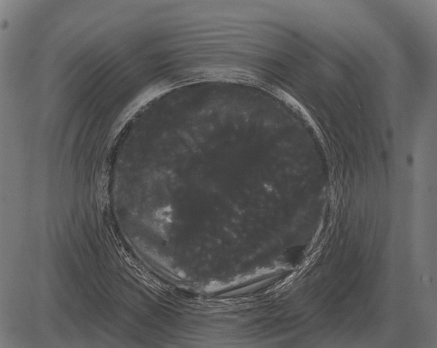 X0000084581019200703091831