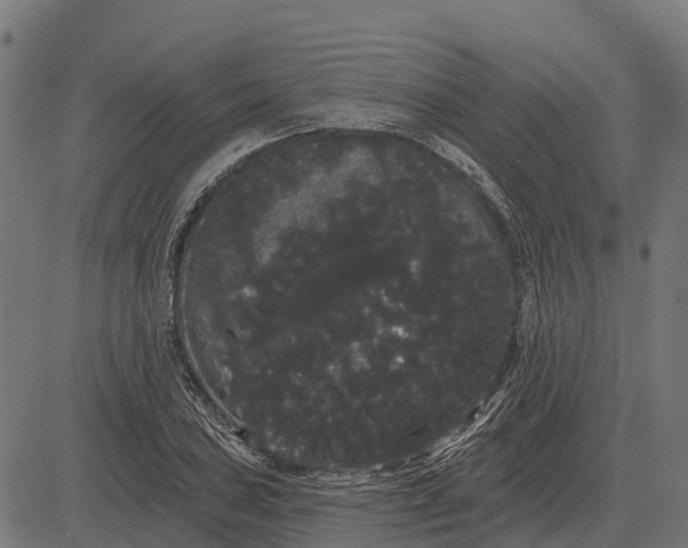 X0000084581027200703091831