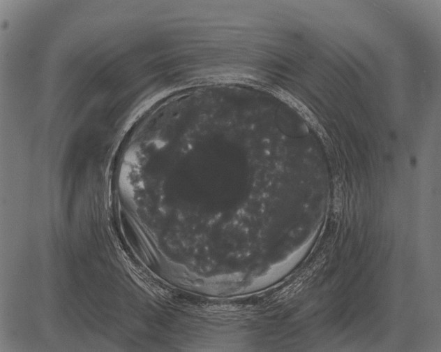 X0000084581031200703091831