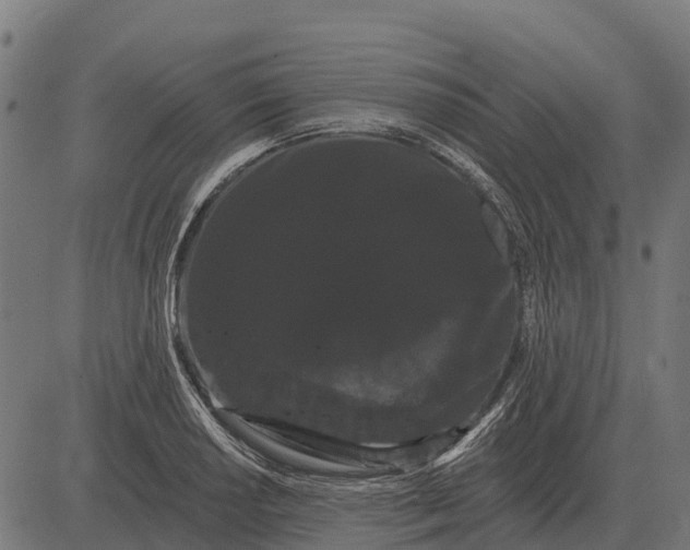 X0000084581034200703091831