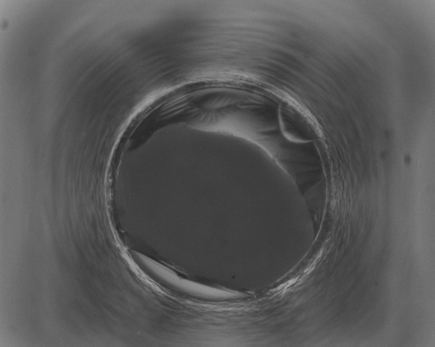 X0000084581037200703091831