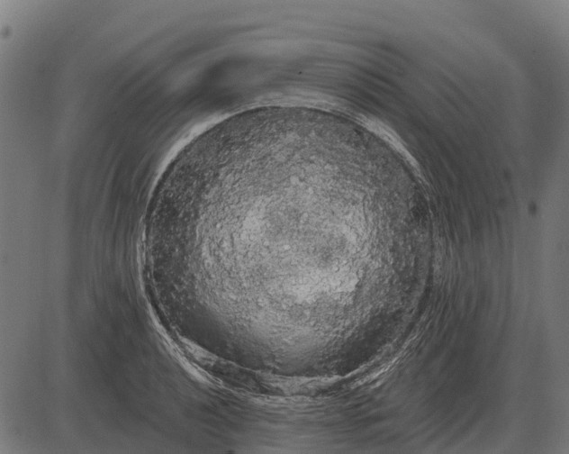 X0000084581040200703091831
