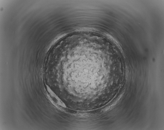 X0000084581041200703091831