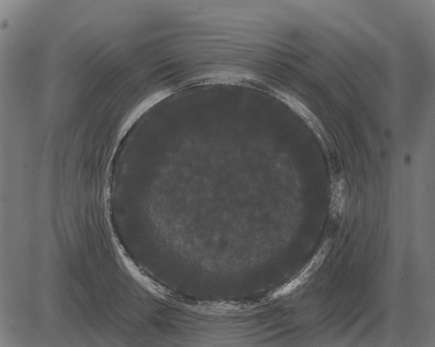 X0000084581042200703091831