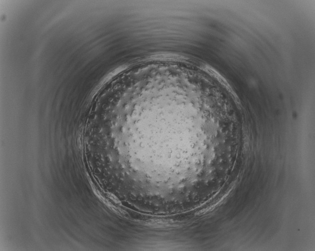 X0000084581049200703091832
