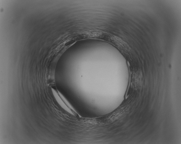 X0000084581058200703091831