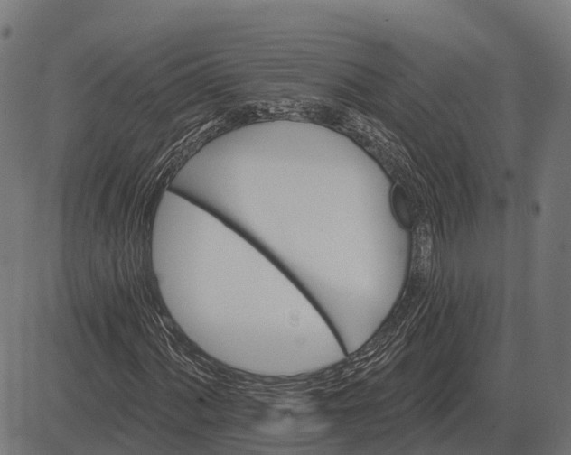 X0000084581060200703091831