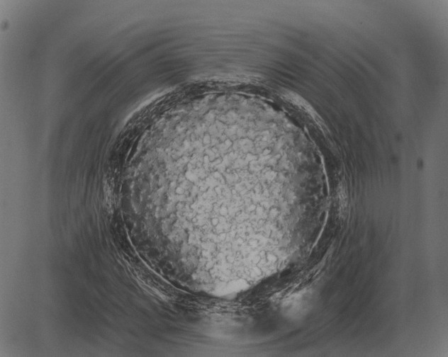 X0000084581064200703091831