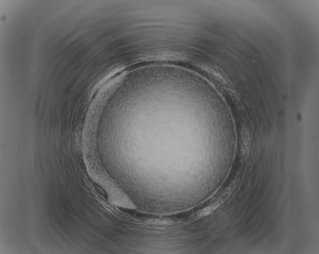 X0000084581073200703091831