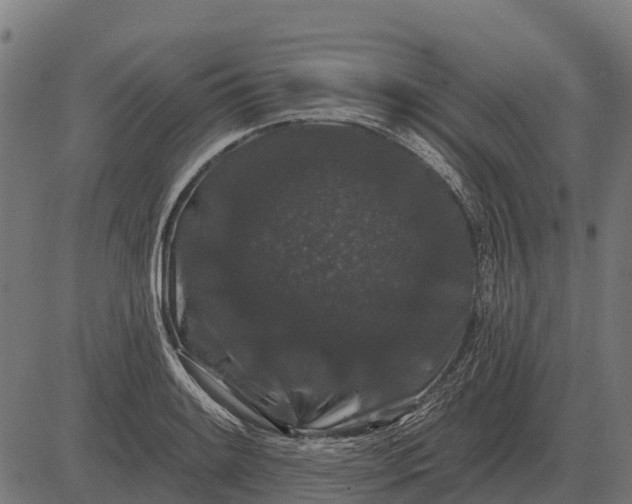 X0000084581084200703091830