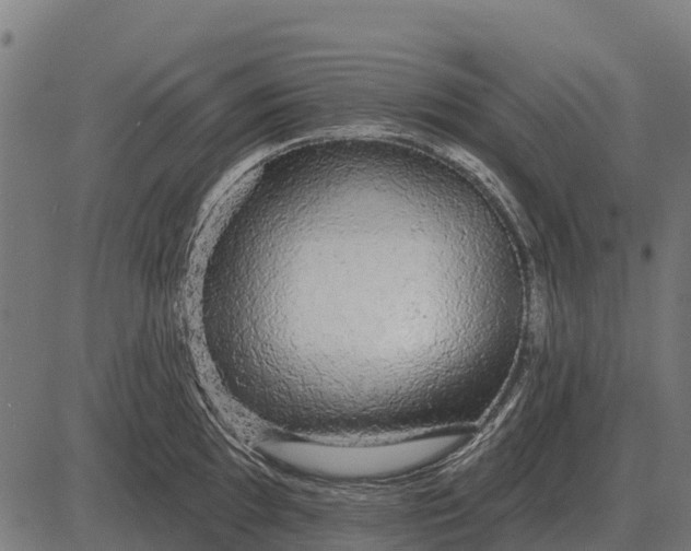 X0000084581097200703091830