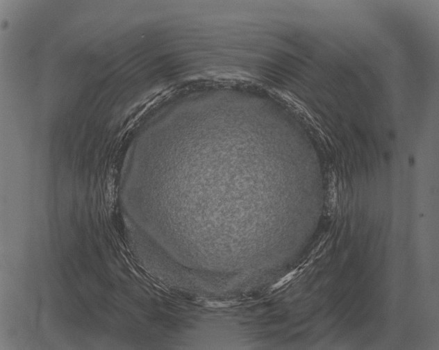 X0000084581110200703091829