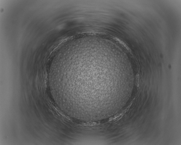X0000084581111200703091829