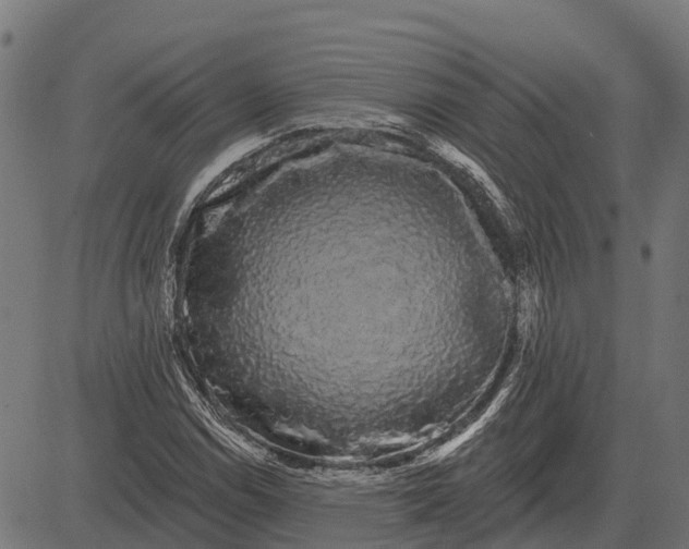 X0000084581114200703091829