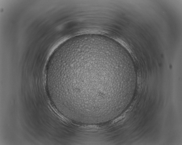 X0000084581119200703091830