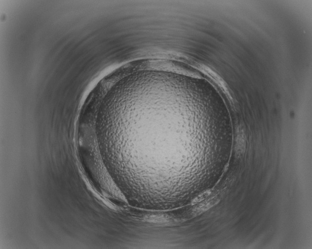 X0000084581128200703091830