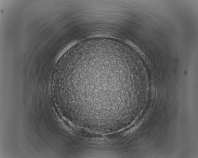X0000084581129200703091830