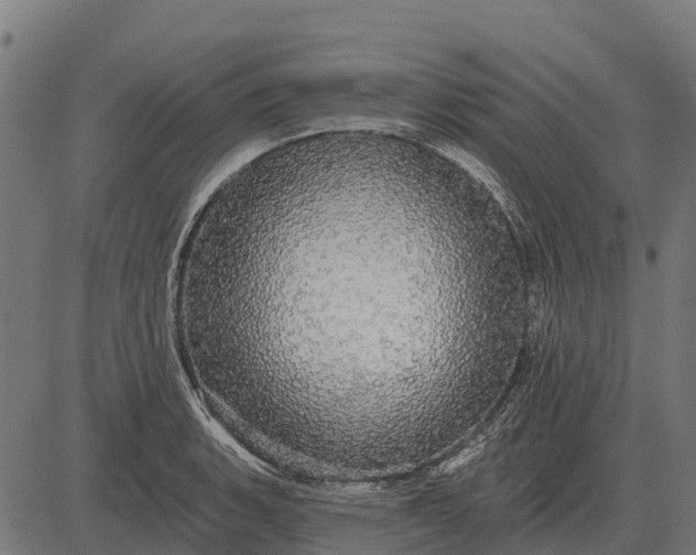 X0000084581135200703091830